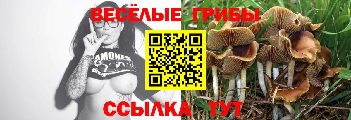 Галлюциногенные грибы MAGIC MUSHROOMS  Вход с VPN  наркота  Псилоцибиновые грибы Psilocybe  Белово 